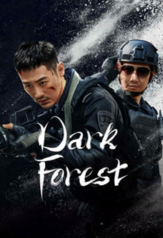 dark forest (2024)