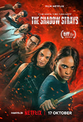 the shadow strays (2024)